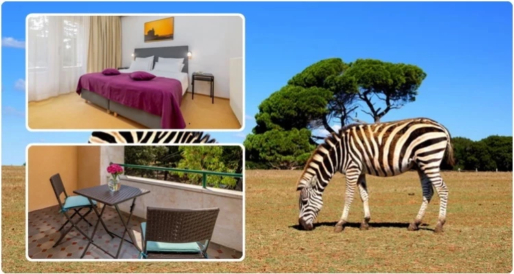 [Brijuni] Hotel Neptun 3*: 2 noćenja s polupansiom za 2 osobe + gratis paket za 1 dijete do 3,99 godina + brojne ulaznice za znamenitosti i muzeje od 1.277 kn!